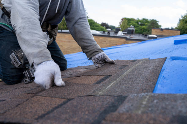 Best Roof Waterproofing Services  in Waveland, MS