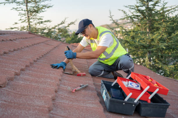 Best Roof Gutter Cleaning  in Waveland, MS