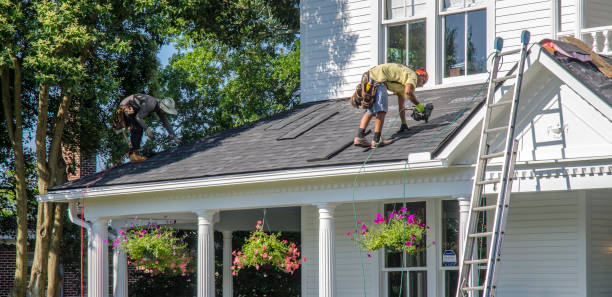 Best Shingle Roofing Installation  in Waveland, MS
